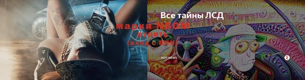 гашик Лабытнанги