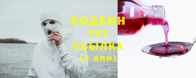 гашик Лабытнанги