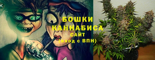 не бодяженный Ладушкин