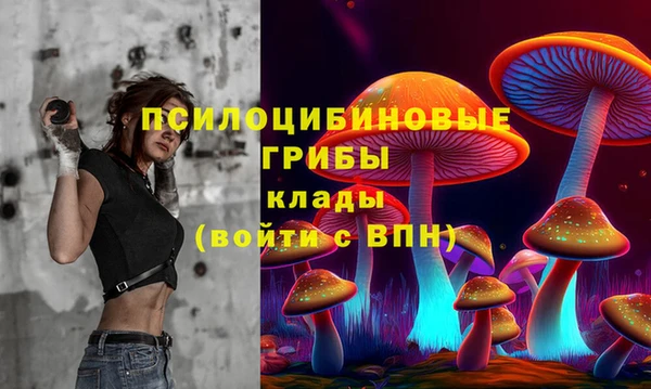 не бодяженный Ладушкин