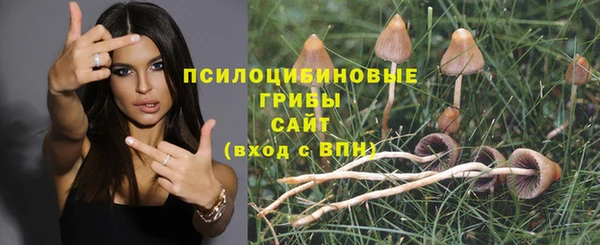 прущая мука Лагань