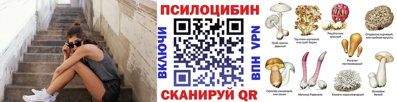 Псилоцибиновые грибы мицелий  Купить  Сясьстрой 